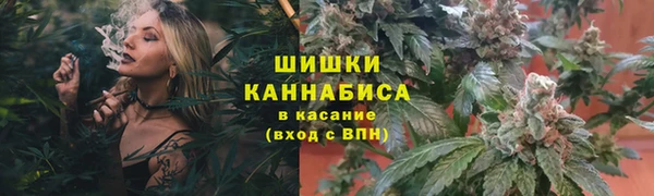 спиды Ладушкин