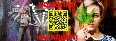 мдпв Обь