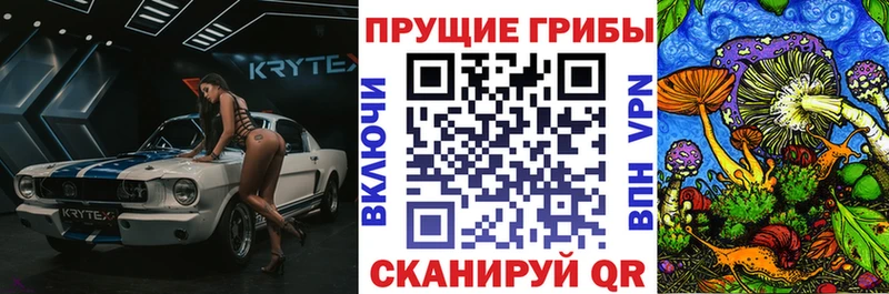 купить  сайты  Хабаровск  Псилоцибиновые грибы мухоморы 