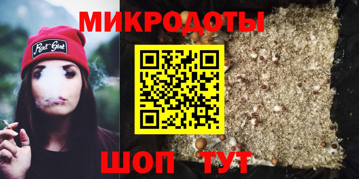 Хабаровск  Псилоцибиновые грибы Psilocybe  Вход с VPN 
